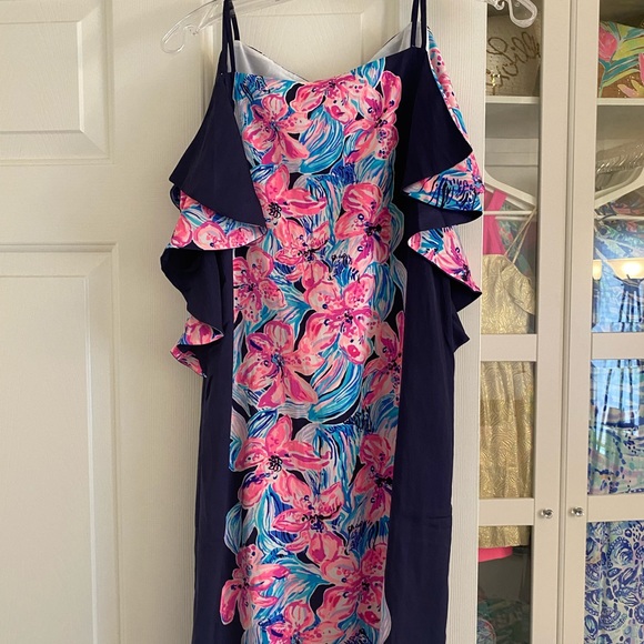 NWT Lilly Pulitzer Kara Dress Hypes and Stripes XS - Picture 3 of 7